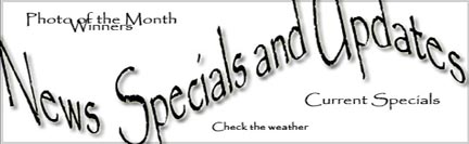 Virginia Beach weather for brides and families