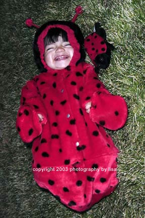 laughing ladybug