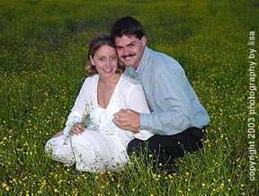 field of buttercups